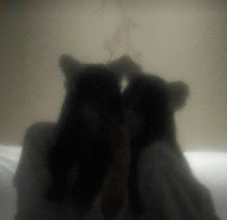 Lilixoxoles-pagina-naranja